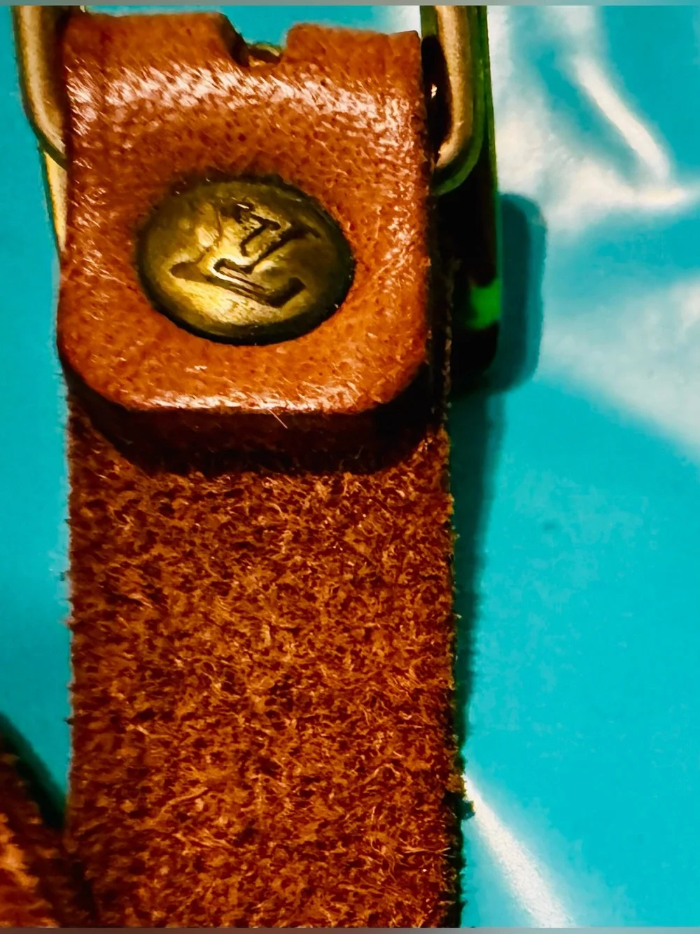 Louis Vuitton authentic louis